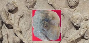 The Ancient Roman marble child statue head unearthed in the Danube city of Novae. Photo: Archaeologist Pavlina Vladkova via the Yantra Dnes daily