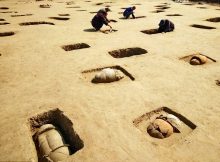 As many as 113 ancient tombs have been discovered. Image credit: Xinhua/Yang Shiyao