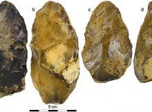 Photographs of three of the bifaces discovered during the archaeological excavation at Moulin Quignon.