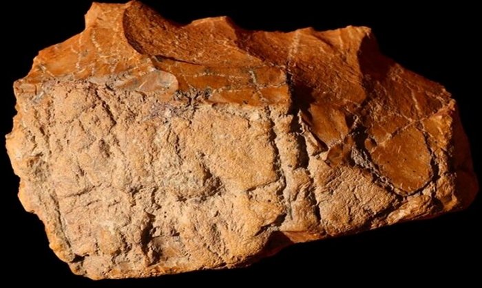 Traces of early humans found in southern Iran