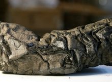 An ancient Herculaneum scroll, buried and carbonised in the deadly eruption of Mount Vesuvius in 79 AD, is displayed in Paris, France (Reuters Photo)