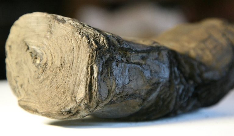 2,000-Year-Old Herculaneum Scrolls Will Be Unwrapped And Deciphered ...