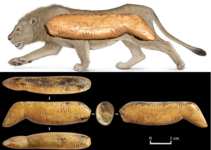 Cave Lion Figurine Made Of Woolly Mammoth Tusk Found At Denisova Cave