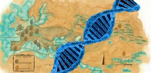 Genetic Fingerprints Of Unknown Species Discovered In Human DNA