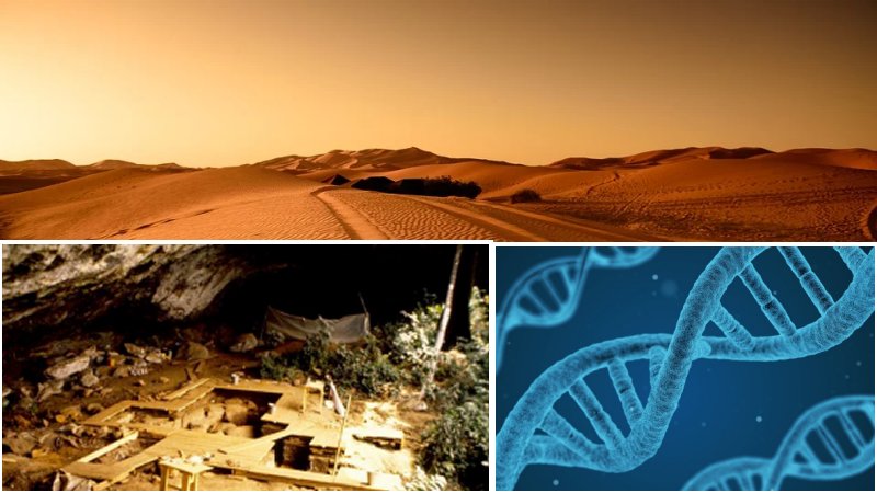 Ancient DNA Illuminates Unknown "Ghost" Populations In Sub-Sahara Africa