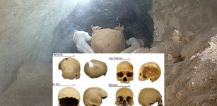 The four skulls analyzed in this study. Photos: Alejandro Terrazas Mata