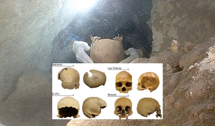 The four skulls analyzed in this study. Photos: Alejandro Terrazas Mata