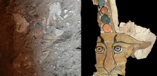 Rare Ancient Leopard Painting Discovered On Sarcophagus In Egypt
