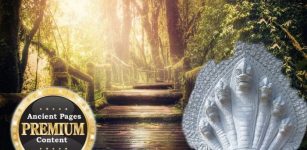 Secrets Of The Jungle And Hidden Ancient Treasures Of The Serpent People