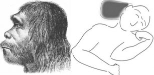 Left: Illustrated reconstruction of a Neanderthal man. Hermann Schaaffhausen, 1888.; Right: Quick sketch of the Neanderthal body position by Dr Emma Pomeroy.