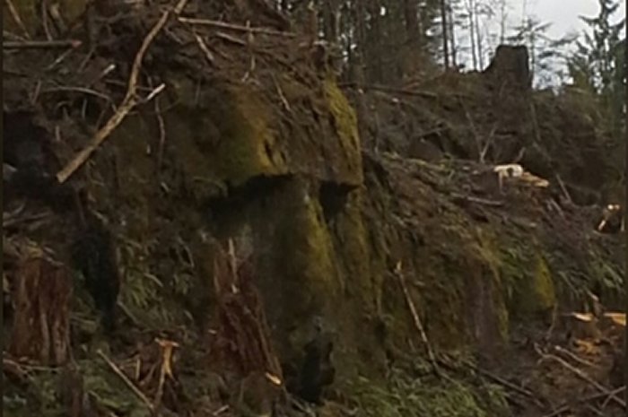 Mysterious Giant Rock Face Discovered On B.C's Central Coast - Natural Formation Or Man-Made?