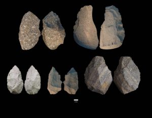 Gona, Ethiopia Discovery: Smallest 'Homo Erectus' Cranium In Africa And ...