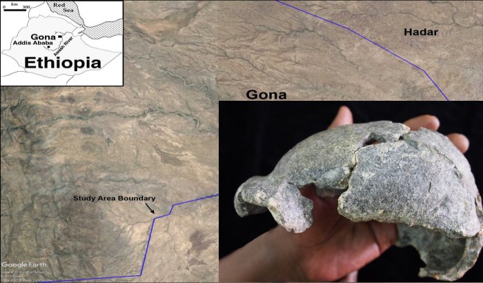 Gona, Ethiopia Discovery: Smallest 'Homo Erectus' Cranium In Africa And ...