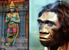 Hindu Monkey God Hanuman May Have Been Homo Erectus - Scientist Says