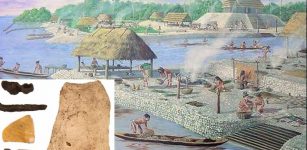 Calusa Indians used hundreds of millions of shells.