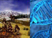 Neandertals had older mothers and younger fathers