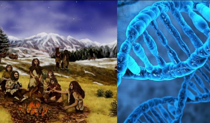 Neandertals had older mothers and younger fathers