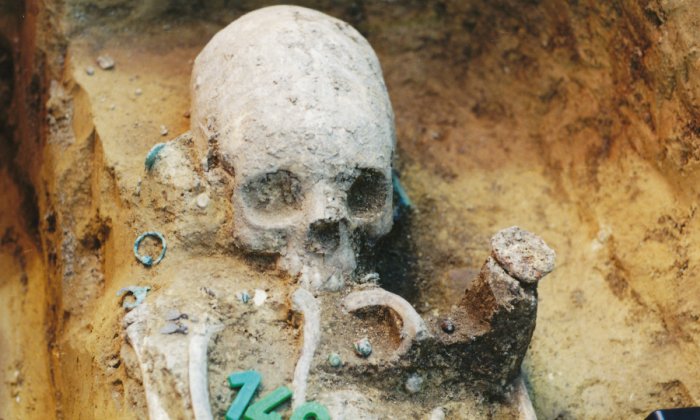 Artificially deformed skull of an adult woman. Permanent binding during childhood caused the elongation of the braincase and the depressions in the bone. Credit: Balázs G. Mende. Research Centre for the Humanities, Hungarian Academy of Sciences, Budapest, Hungary