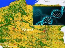 Polish DNA