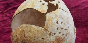 The ostrich egg vessel – of which only the ostrich egg has been found – was dismantled before it was laid in the Thracian warrior’s grave, possibly as part of a burial ritual. Photo: Veliko Tarnovo Regional Museum of History