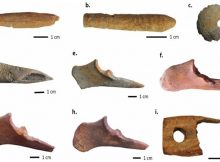 Type of bone and antler tools found at the site. Including a) a possible loom shuttle made of antler, b) a possible spindle made of antler, c) a whorl made of bone, d—g) bone awls and perforators, i) a small (broken) shearing comb made of antler. (Photo courtesy of Karim Alizadeh)