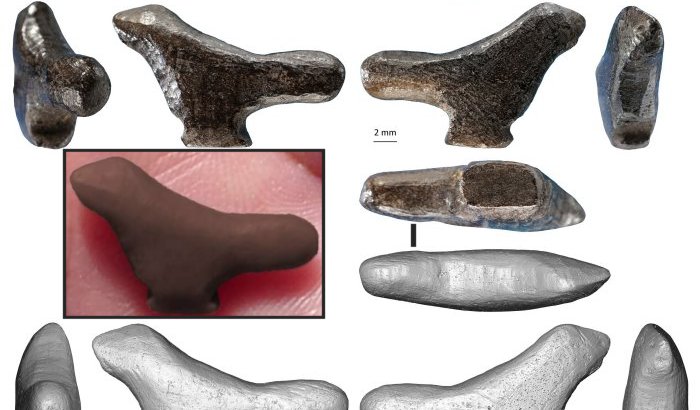 A small bird carving—the oldest instance of East Asian three-dimensional art ever discovered.