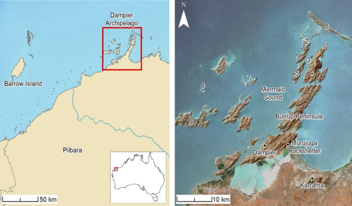 Location maps of the study area and sites referenced in text. 1) Cape Bruguieres Island; (2) North Gidley Island; (3) Flying Foam Passage; (4) Dolphin Island; (5)Angel Island; (6) Legendre Island; (7) Malus Island; (8) Goodwyn Island; (9) Enderby Island.