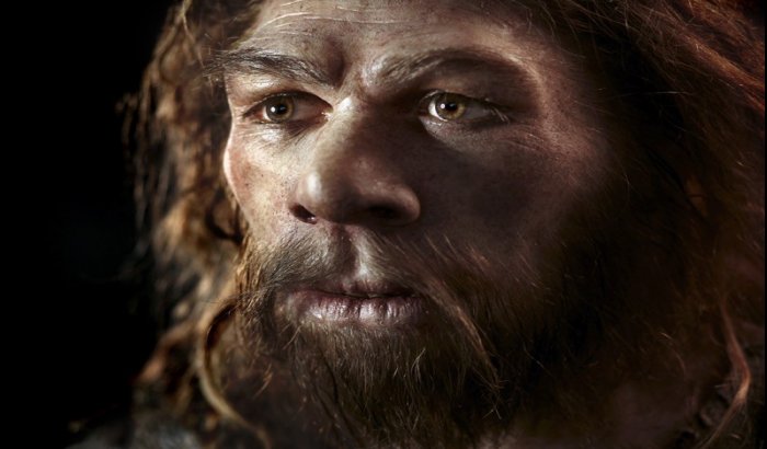 Neanderthals' gene related to pain