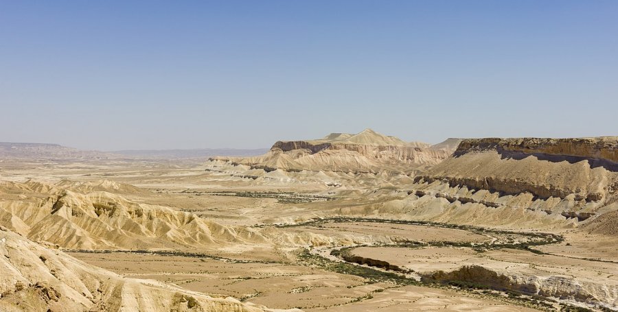 View of Ein Avdat in the Zin Valley of the Negev desert. 