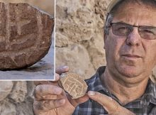 A seal made out of a piece of clay from the Persian period. Credit: Shai Halevy, Israel Antiquities Authority.