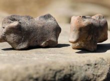 Unique 3,500-Year-Old Clay Pig Figurines Used As ‘Children’s Toys’ Found In Poland