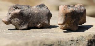 Unique 3,500-Year-Old Clay Pig Figurines Used As ‘Children’s Toys’ Found In Poland