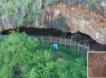 200,000-Year-Old Grass Bed Discovered In South Africa's Border Cave