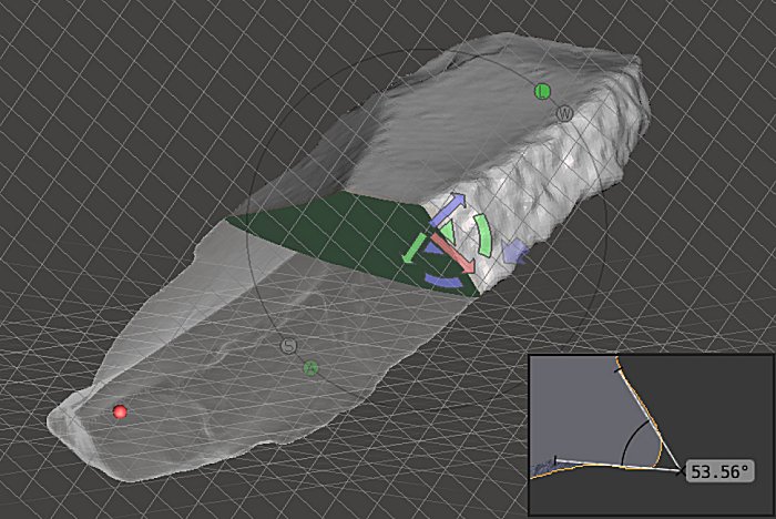 Digital analysis of the cross-section and angle of the cutting edge using a 3D model of a backed knife from the Sesselfelsgrotte cave (G-complex, excavations by Prof. Freund, FAU; photo: D. Delpiano, UNIFE