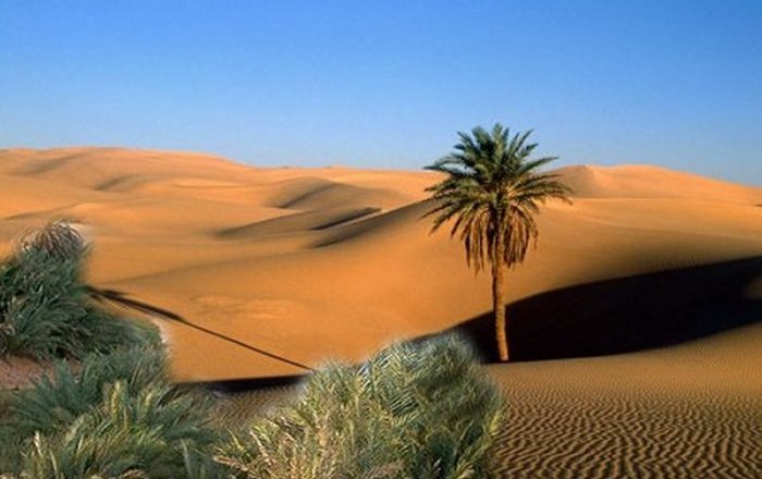 Sahara