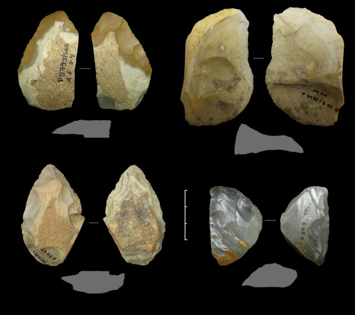 Various Keilmesser and a simple backed knife (top right) from the Neanderthal period 60,000 to 44,000 years ago, from the Sesselfelsgrotte cave near Kelheim (G-complex, excavations by Prof. Freund, FAU; photo: D. Delpiano, UNIFE).