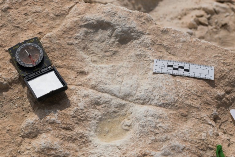 The first human footprint discovered at Alathar and its corresponding digital elevation model (DEM). Credit: Stewart et al., 2020