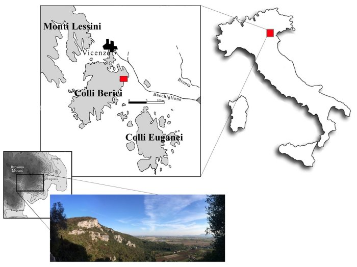 The findings retrieved from the "Riparo del Broion" are still being analysed. However, preliminary results show that this site had been used for a long period of time as there are signs of hunting activities and butchering of large prays. Credit: Journal of Human Evolution