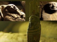 13 coffins unearthed in Saqqara