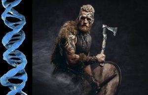 World's Largest DNA Study Of Viking Skeletons Re-Writes Ancient History ...