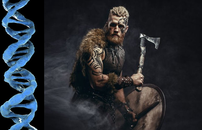 World's Largest DNA Study Of Viking Skeletons Re-Writes Ancient History - Norse Warriors Were Not Those Who We Thought