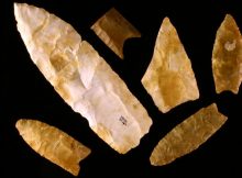 Clovis spear points from the Gault site in Texas. Center for the Study of the First Americans, Texas A&M