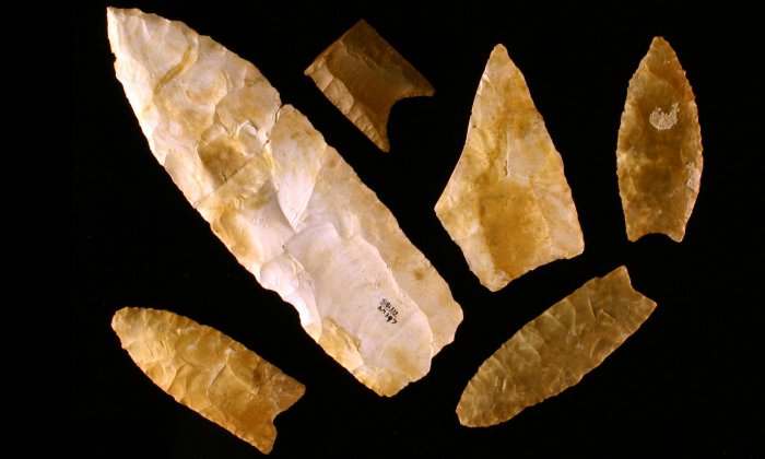 Clovis spear points from the Gault site in Texas. Center for the Study of the First Americans, Texas A&M