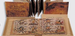 Codex Cospi is a beautiful illuminated manuscript, protected by two covers made in the 17th century, probably to replace former older, wood covers. Image credit: Biblioteca Universitaria di Bologna