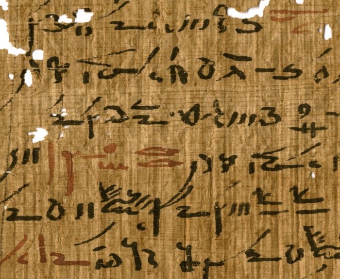 Detail of a medical treatise (inv. P. Carlsberg 930) from the Tebtunis temple library with headings marked in red ink. Image credit: The Papyrus Carlsberg Collection. Credit: The Papyrus Carlsberg Collection.