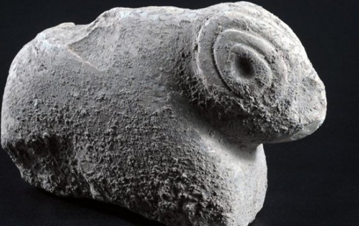 A rare early neolithic ram figurine.