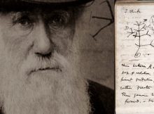 Who Has Stolen Charles Darwin's Notebooks Worth Millions From The University Of Cambridge?