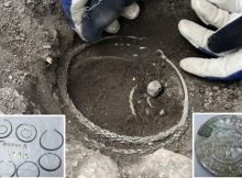 Unique Viking Age Silver Treasure Found On Farm Near Stockholm In Sweden