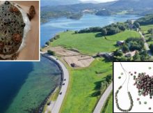 Hundreds Of Highly Unusual Burial Gifts Found In Special Viking Chamber Belonging To Woman In Norway