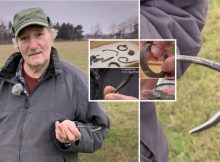 Silver Needle Dismissed As Trash Was A Part Of A Stunning Viking Treasure Found By Farmer On Gotland